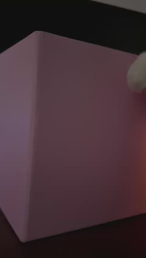 🌸PELUCHE CORDEITO TULIPAN + TULIPAN INFINITO CAJA DE REGALO